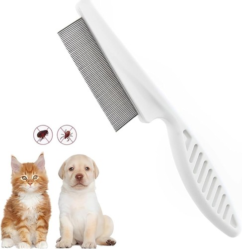 Pet dog cat - dog,