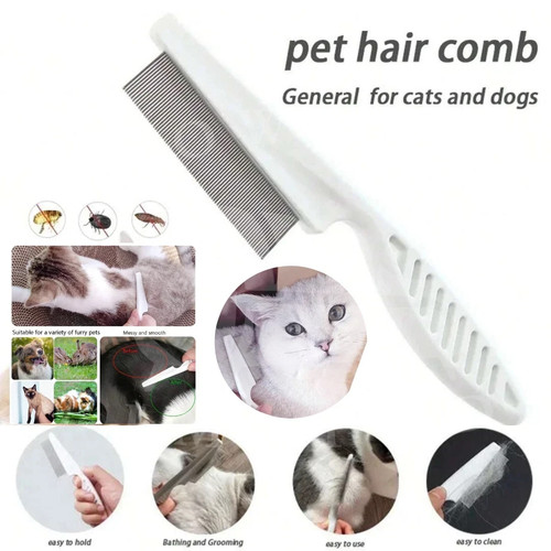 Pet dog cat - kitten, flea