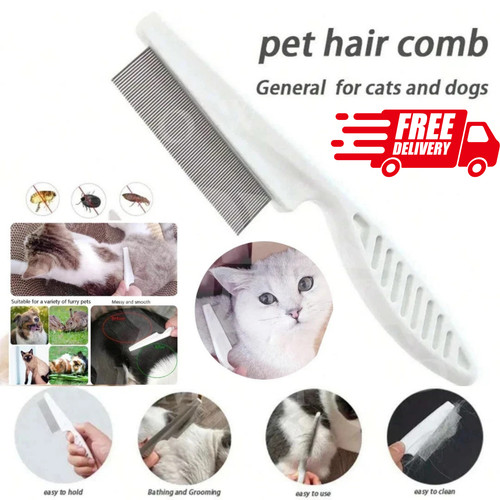 Pet dog cat puppy kitten - cat,