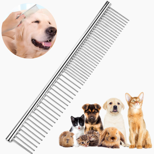 Dog cat puppy - cat, pet
