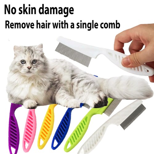 Pet dog cat puppy kitten - pet, flea