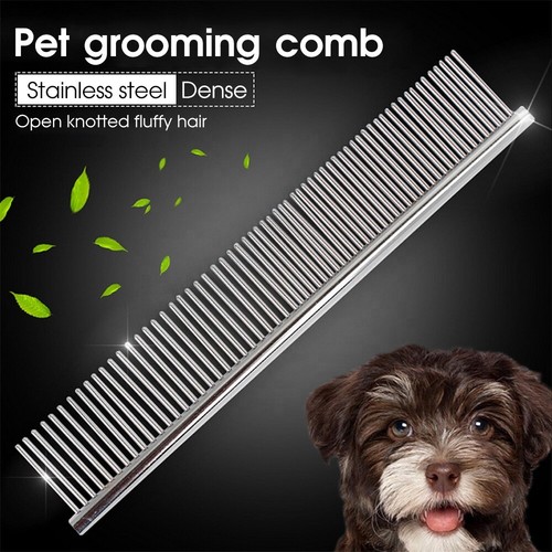 Pet puppy dog cat - puppy,