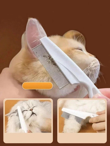 Pet dog cat puppy - cat, kitten