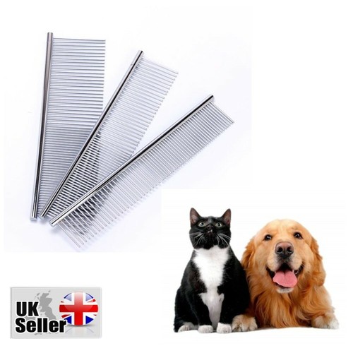 New pet puppy dog - new,