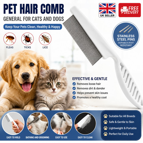 Pet dog cat puppy kitten - dog,