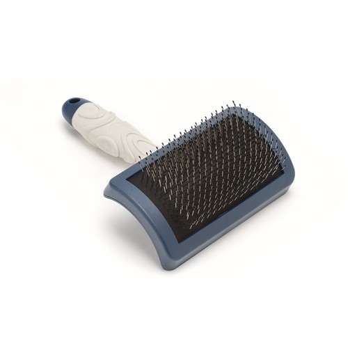 Mikki dog puppy grooming - mikki,
