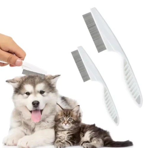Pet dog cat puppy - dog,