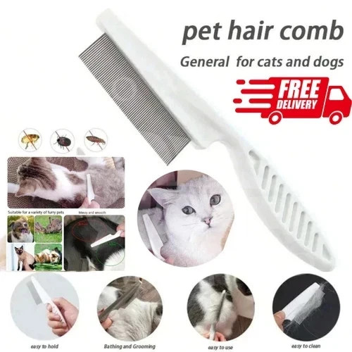 Pet dog cat puppy kitten - pet,