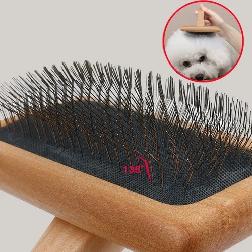 Dog puppy cat pet grooming - dog,