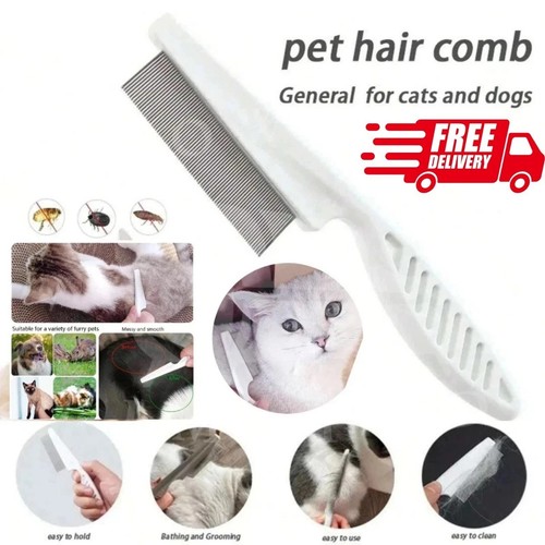 Pet dog cat - pet,