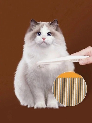 Pet dog cat puppy - pet,