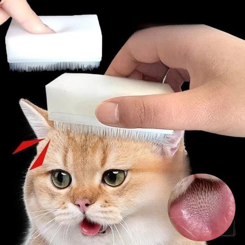 Pet grooming massage - grooming, brush