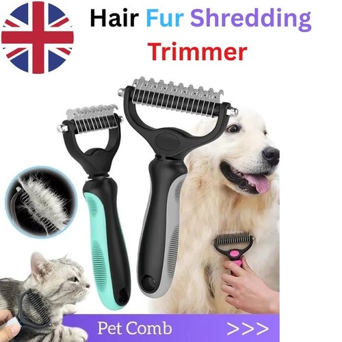 Pet cat dog - cat, shredding