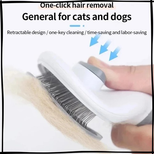 Pet dog hair brush - pet,